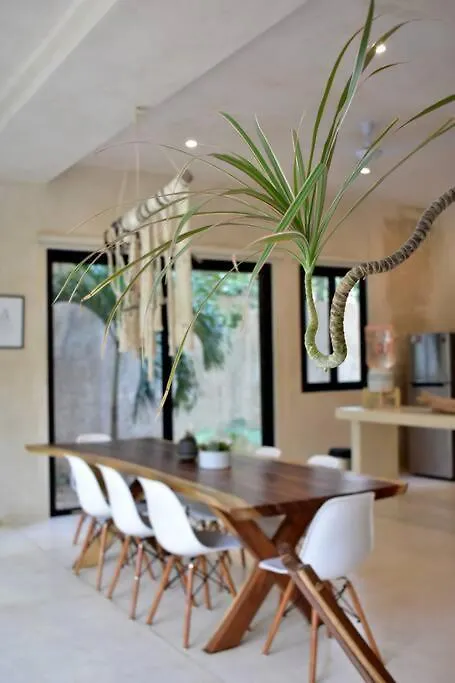 Chic-Modern Apt W/Pool, Garden, Parking & 3 Bikes Apartment Tulum Mexico
