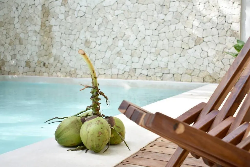 Chic-Modern Apt W/Pool, Garden, Parking & 3 Bikes Apartment Tulum Mexico