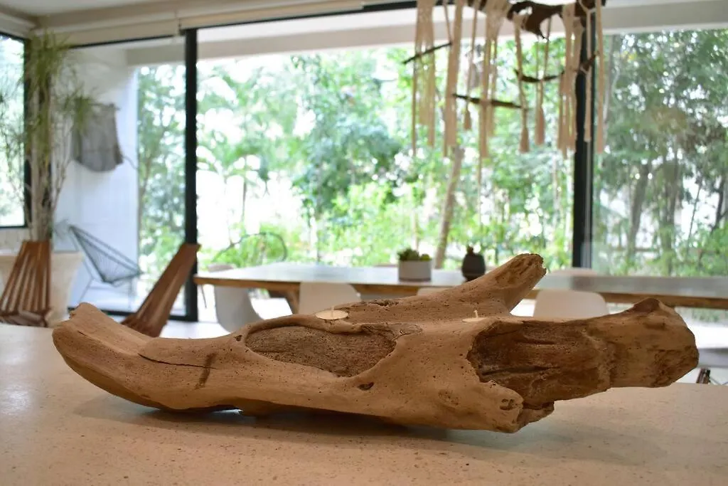 Chic-Modern Apt W/Pool, Garden, Parking & 3 Bikes Apartment Tulum